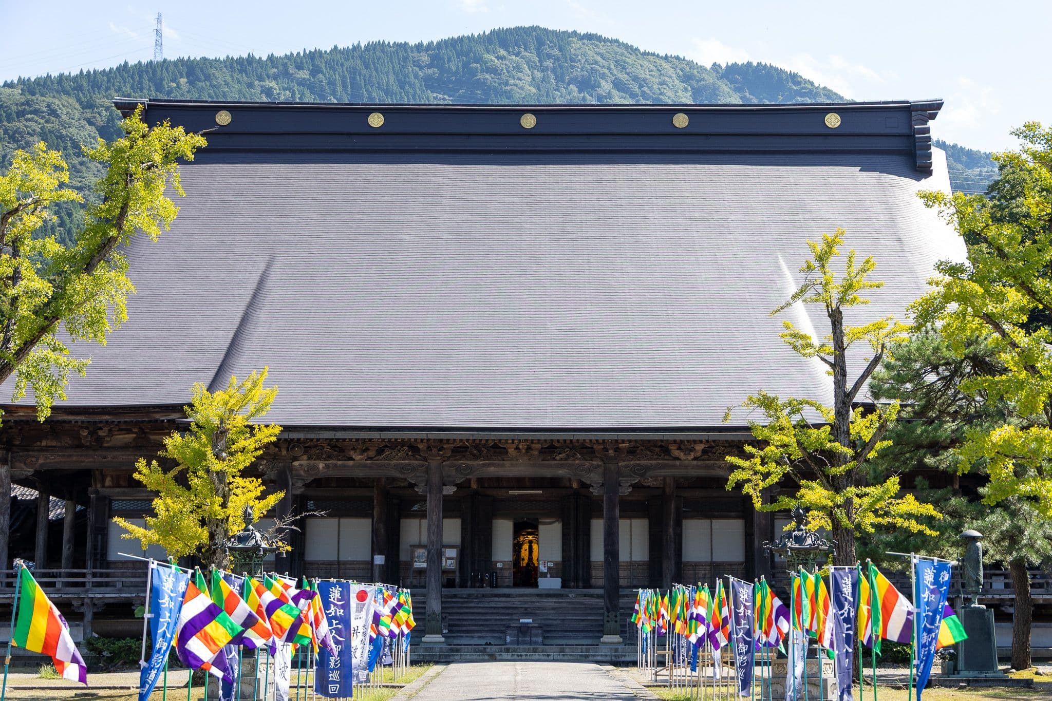 Short-Term & Long-Term