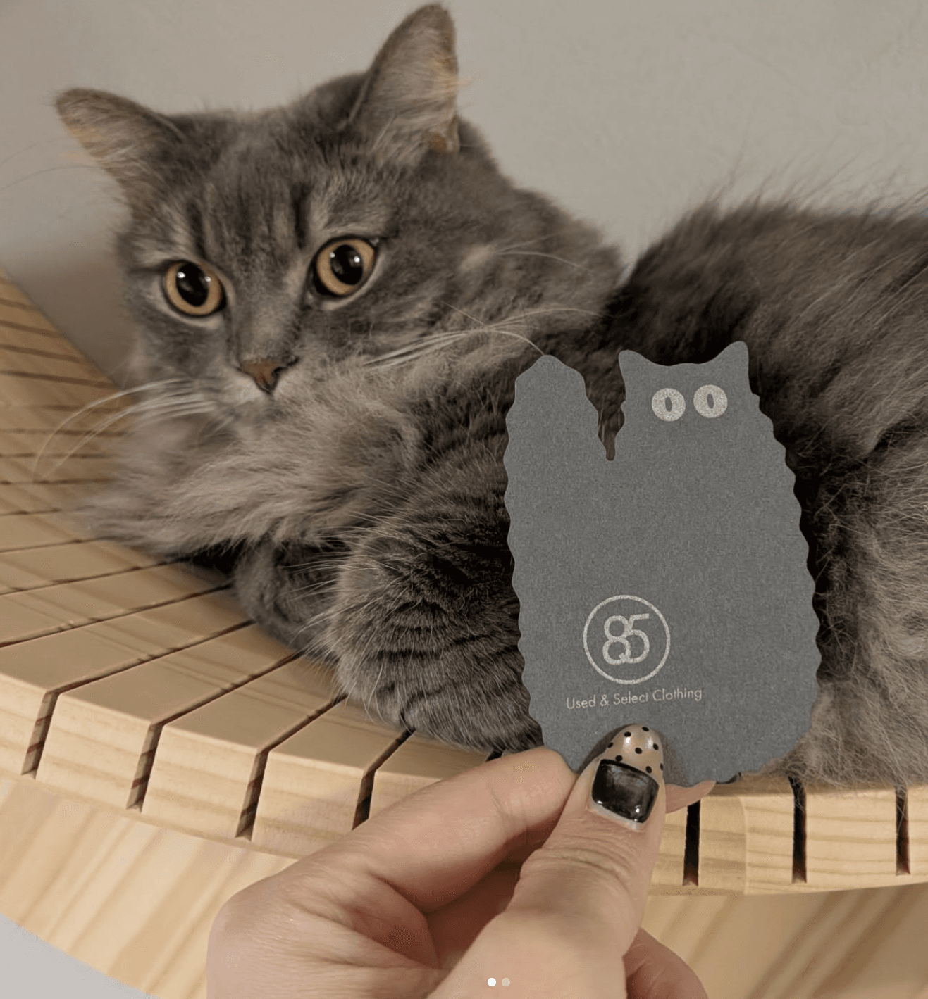 ショップカード+イベントの感想